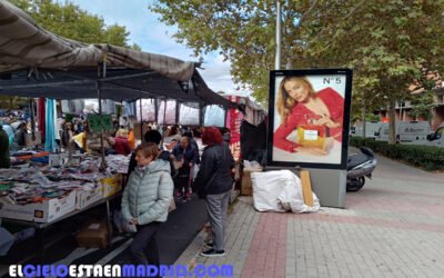 Mercadillo dominical de Avenida de Asturias, Madrid.