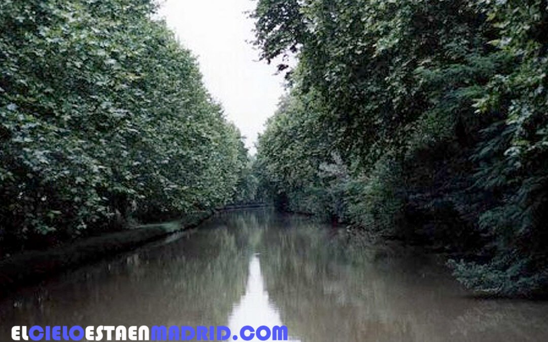 Viaje en yate alquilado por el Canal du Midi (III): un tesoro histórico y paisajístico en Francia. La experiencia personal (2).