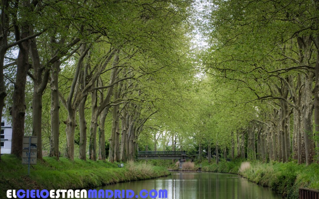 Viaje en yate alquilado por el Canal du Midi (I): un tesoro histórico y paisajístico en Francia. La información general.