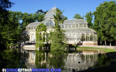 Un paseo por el Parque del Retiro (IV). Las especies vegetales del Retiro.