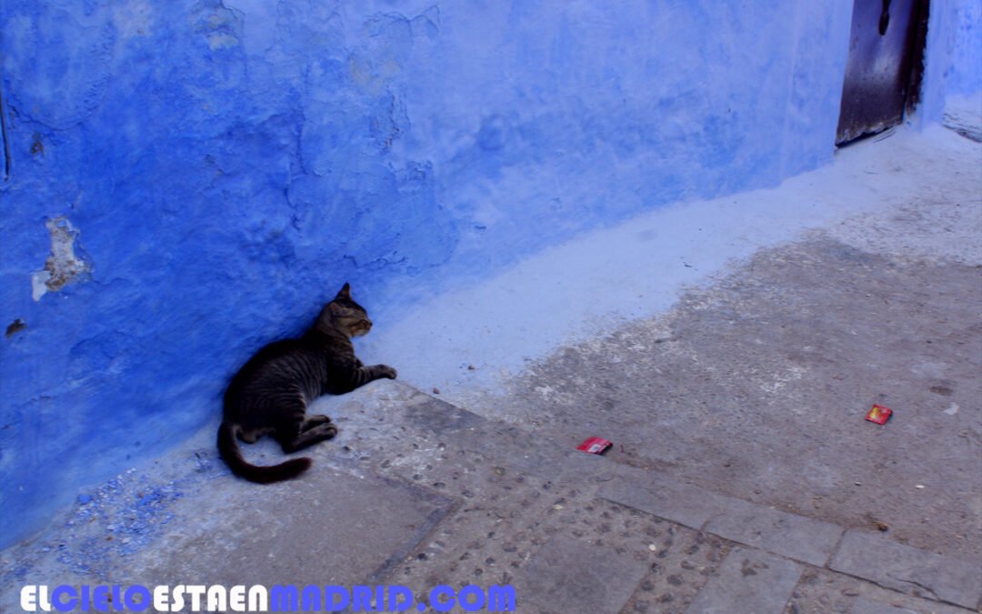 Chefchauen: la ciudad azul de Marruecos