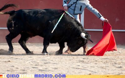 Mesón del Real Club Taurino de Murcia. Y el club en sí.